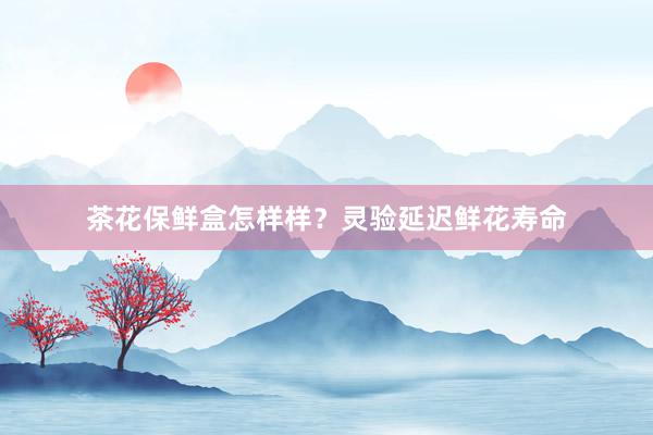 茶花保鲜盒怎样样？灵验延迟鲜花寿命