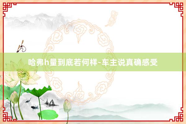 哈弗h量到底若何样-车主说真确感受